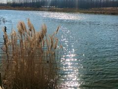 -淇河国家湿地公园