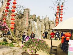 -秀丽东方
