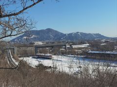 -白水寺森林公园