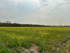 -嘉北郊野公园