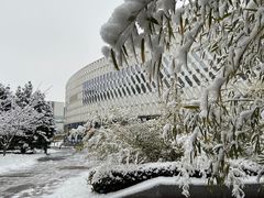 -北京园博大酒店