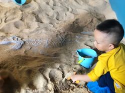 -恐龙探索乐园(磁器口店)