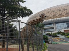 -灵玲国际马戏城