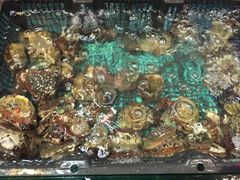 -海大大蒸汽海鲜餐厅·粤菜·特色小炒(欢乐颂店)