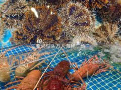 -三亚火车头万人海鲜广场