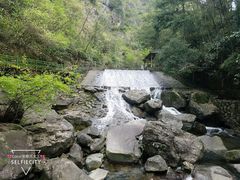 -湖州龙王山景区