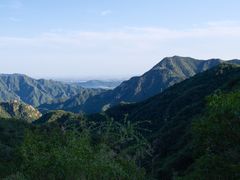 -大岭沟猕猴桃谷风景区