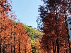 -梅峰山地公园