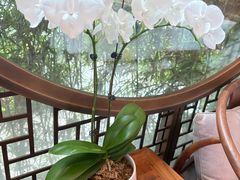 -蘇锦宴·淮扬菜烤鸭·小院(三元桥霄云路店)