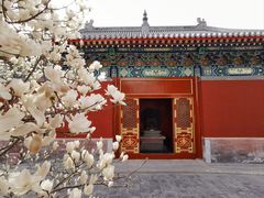 -妙应寺白塔