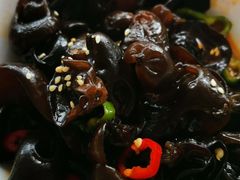 巧拌黑木耳-峨嵋酒家(地安门店)