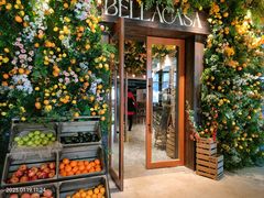 -BELLA CASA