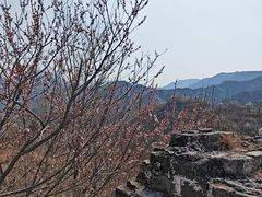 -龙泉峪长城