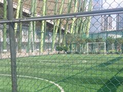 -深圳市宝安体育中心体育场