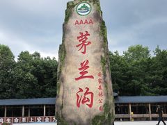 -茅兰沟国家森林公园