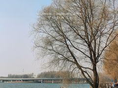 -丁香湖公园