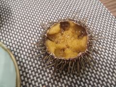 -红叶日料·放题·海胆·定食(星海店)