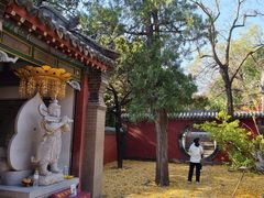 -泰山风景名胜区-普照寺