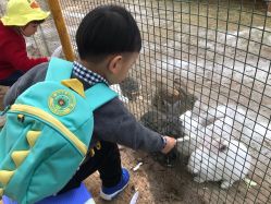 -上美四季动物农场