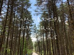 -石棉县孟获城