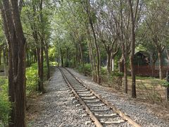 -西青郊野公园