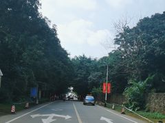 -海口火山口国家地质公园