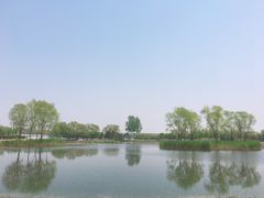 -大兴滨河森林公园