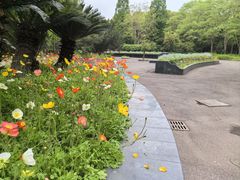 -上海滨江森林公园