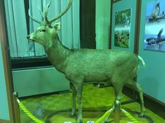 -北海道厅旧本厅舍(旧本庁舎)