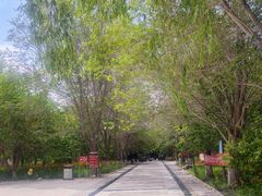 -哈密回王府景区