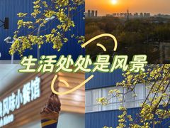 -宜家家居(四元桥商场店)