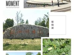 -南翔镇银翔湖公园