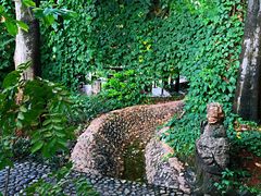 -山大王菌莊