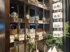 -芸山季·云南山珍菌火锅(人民广场来福士店)