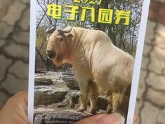 -秦皇岛野生动物园