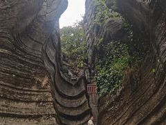 -梭布垭石林景区