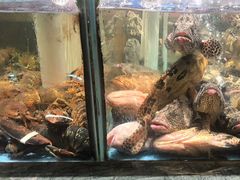 -国惠大酒楼(仓山万达店)