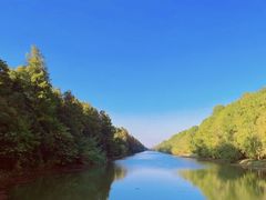 -上海海湾国家森林公园