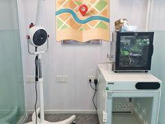 -爱洗澡的猫(望京店)