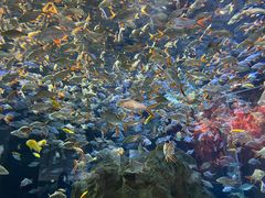 -成都浩海立方海洋公园