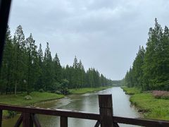 -黄海国家森林公园