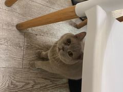 -小时光咖啡馆(北锣鼓巷店)