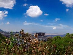 青龙山公园-青龙山公园