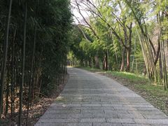 -采石矶景区