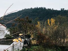 -长兴八都岕景区