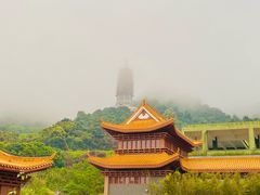 -深圳市中科院仙湖植物园