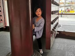 -新加坡佛牙寺龙华院