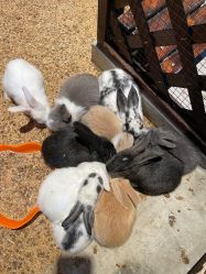 -酷嗒动物文化乐园(cutezoo西溪乐天城店)