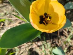 -长春公园(普阳街道)