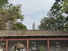 -顺峰山公园